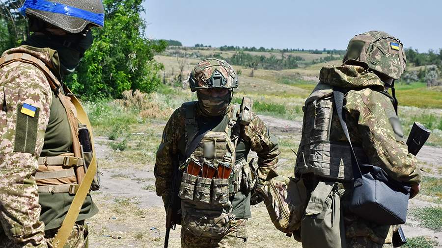 Деятельность ВСУ привела к остановке сбора урожая в Черниговской области