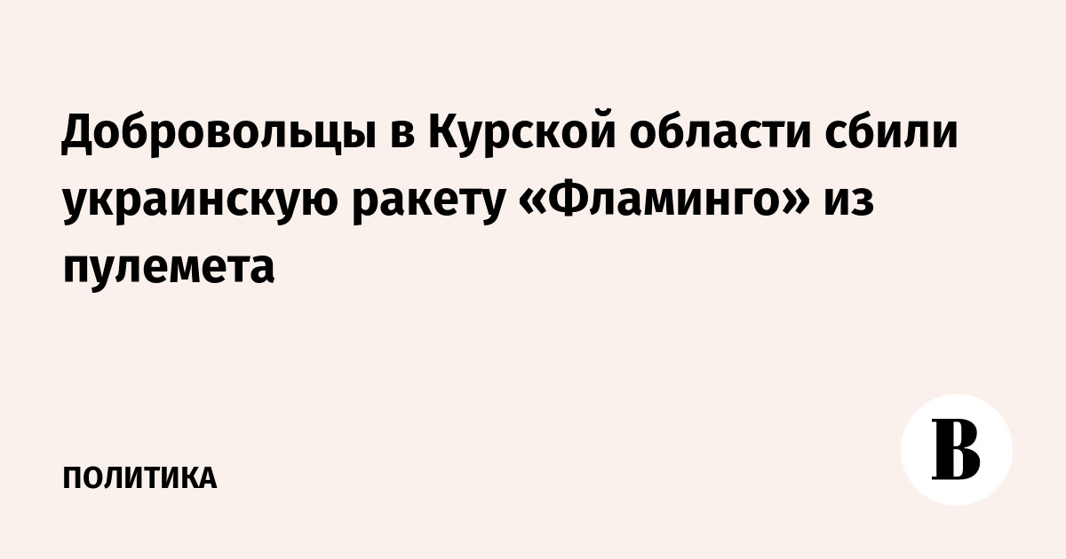 Курские добровольцы сбили ракету "Фламинго" из пулемета
