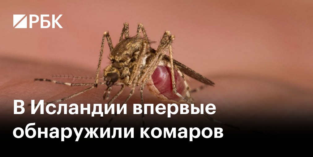 Мэр французской коммуны запретил комарам летать