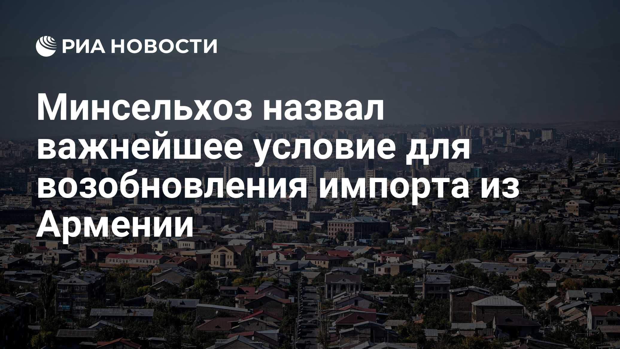 Минсельхоз назвал условия возобновления импорта продукции АПК из Армении