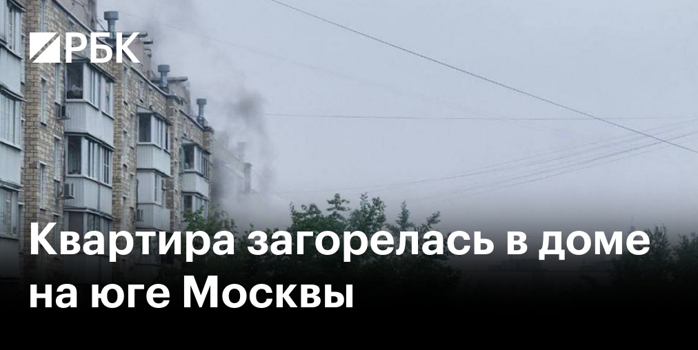Мосгорсуд взыскал ₽654 тыс. за залив квартиры из-за кошки, открывшей кран