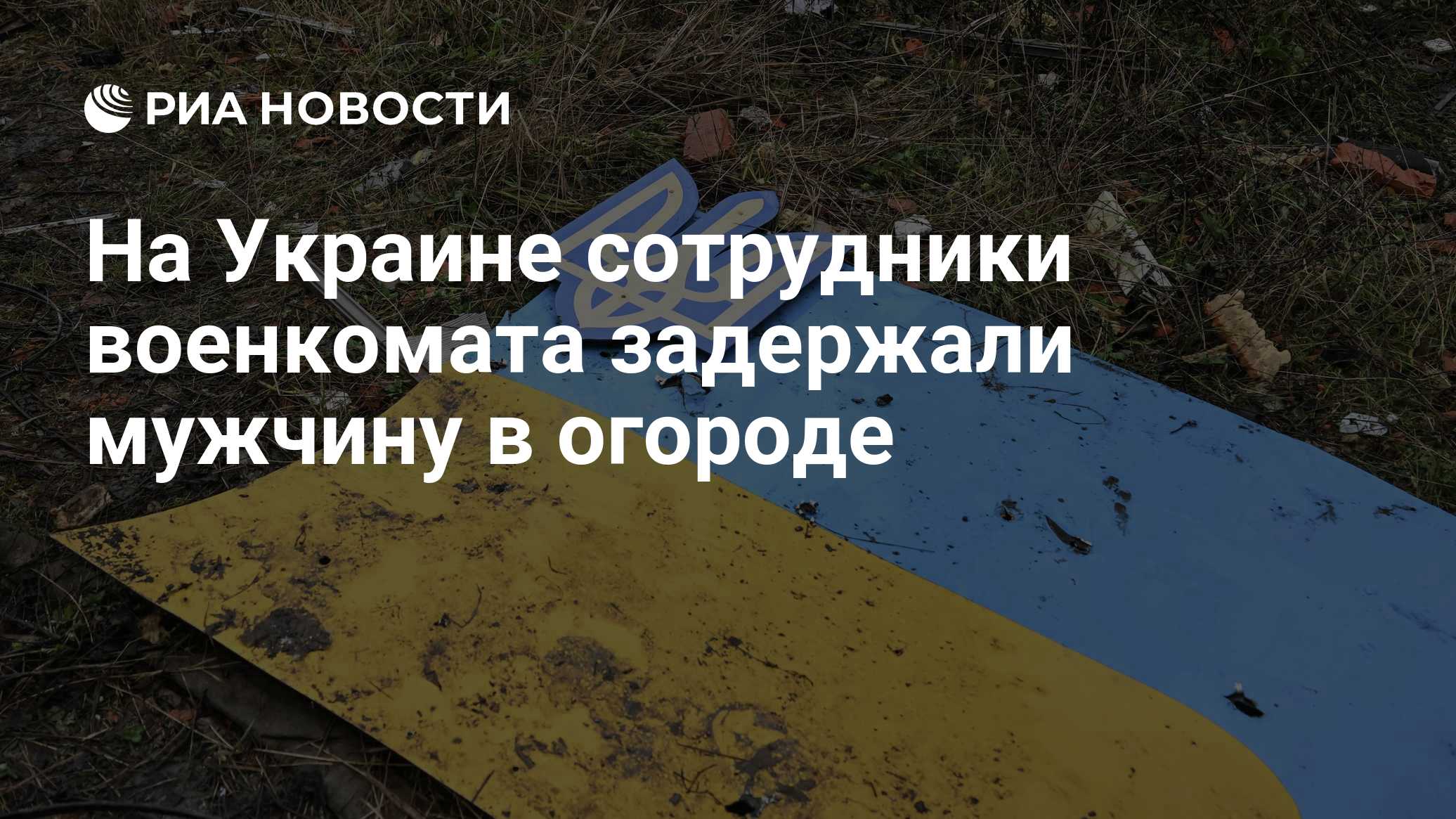 На Украине сотрудники военкомата задержали мужчину в огороде