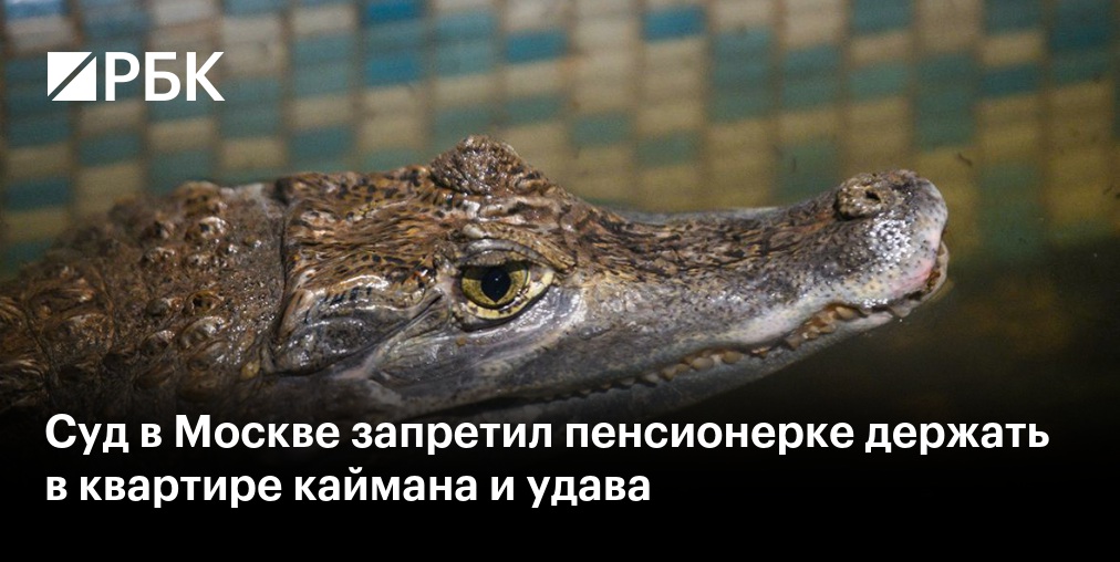 Пенсионерка построила деревню только для женщин