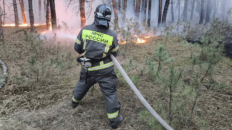 Площадь лесного пожара в Ростовской области выросла до 170 га