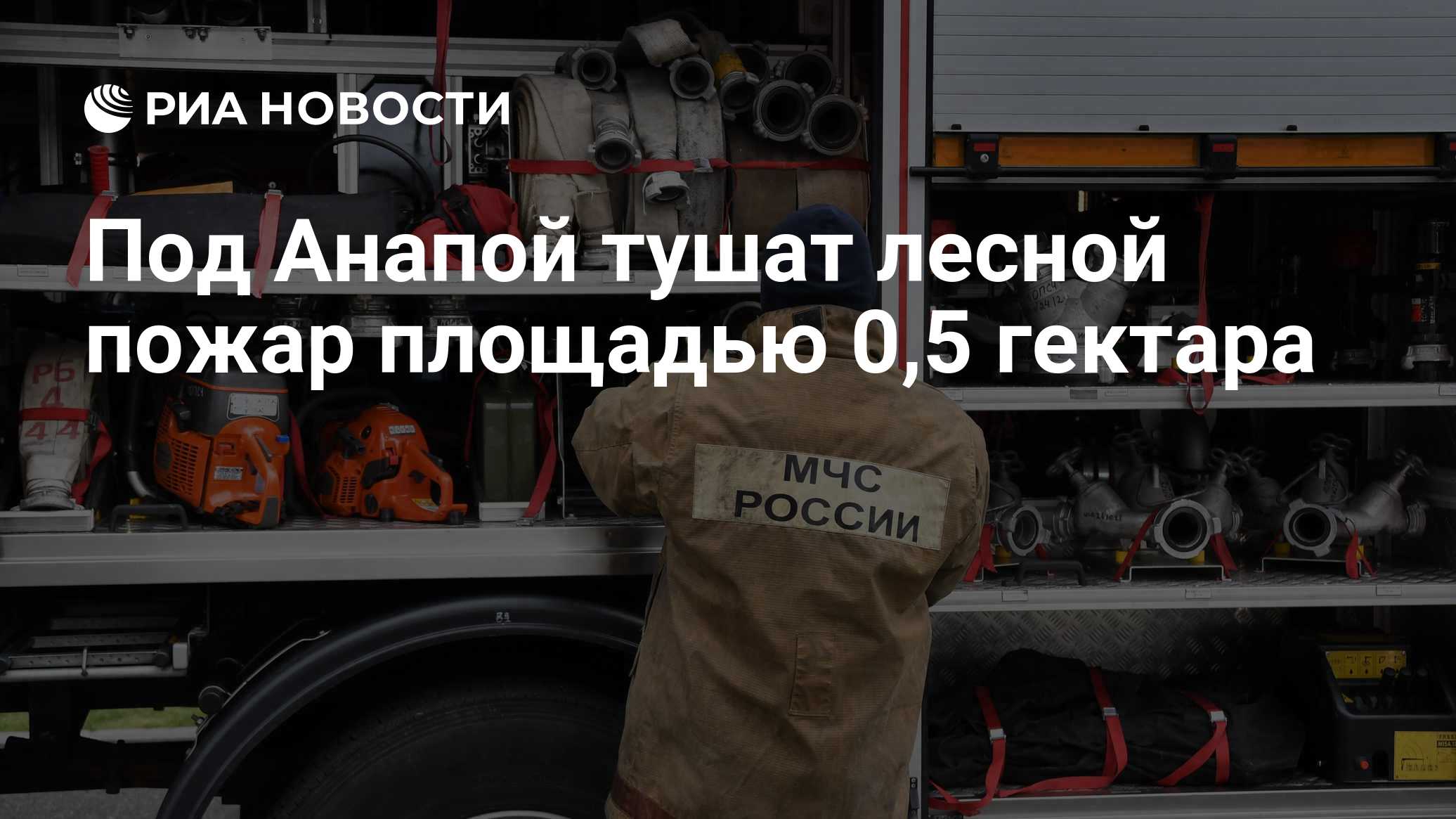 Под Анапой тушат лесной пожар площадью 0,5 гектара