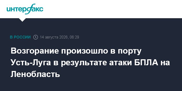 При атаке в порту Усть-Луга в Ленобласти зафиксировали повреждение
