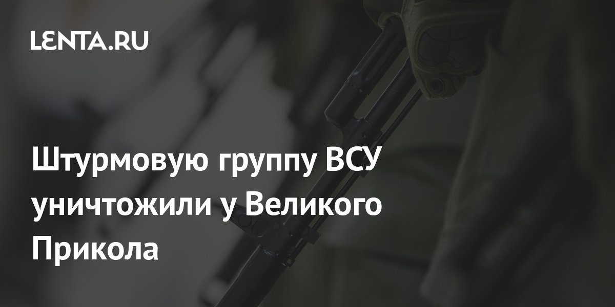 Штурмовую группу ВСУ уничтожили у Великого Прикола