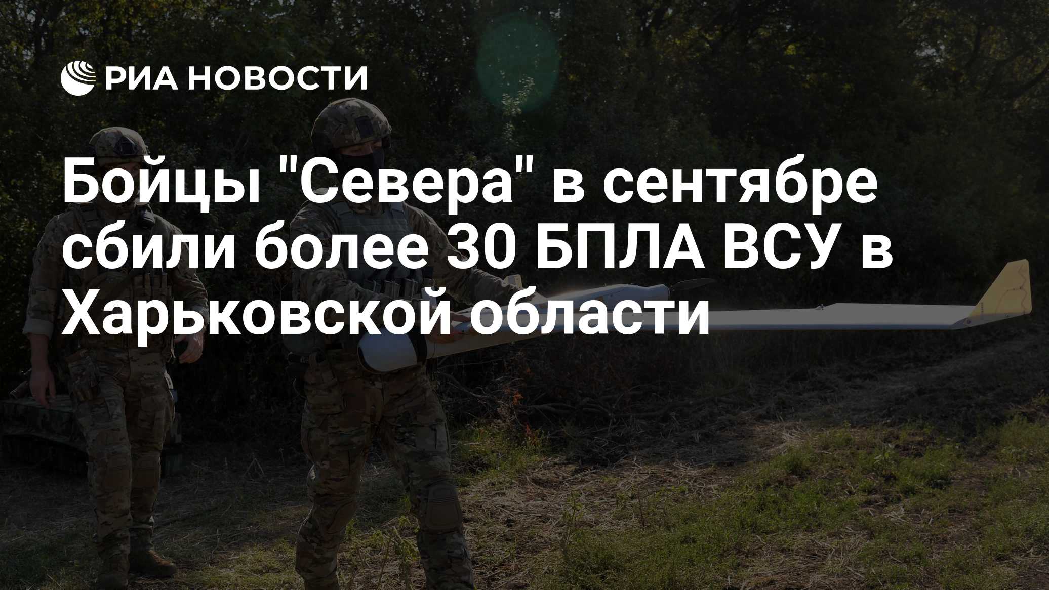 Силы ПВО сбили 12 БПЛА ВСУ над Тульской областью