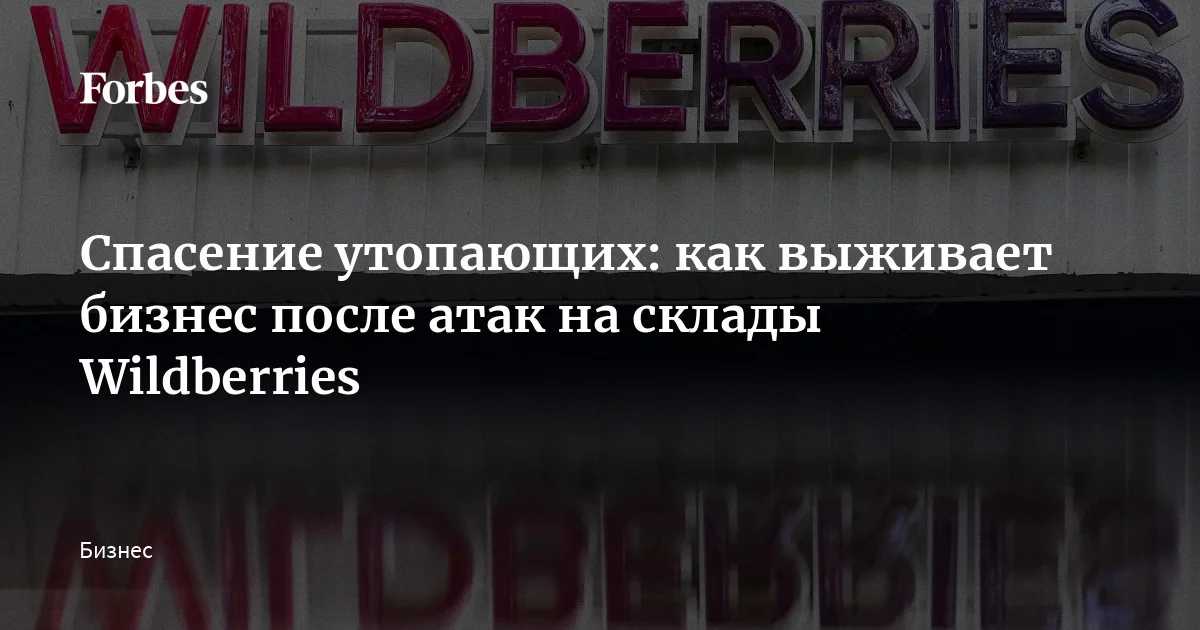 Спасение утопающих: как выживает бизнес после атак на склады Wildberries