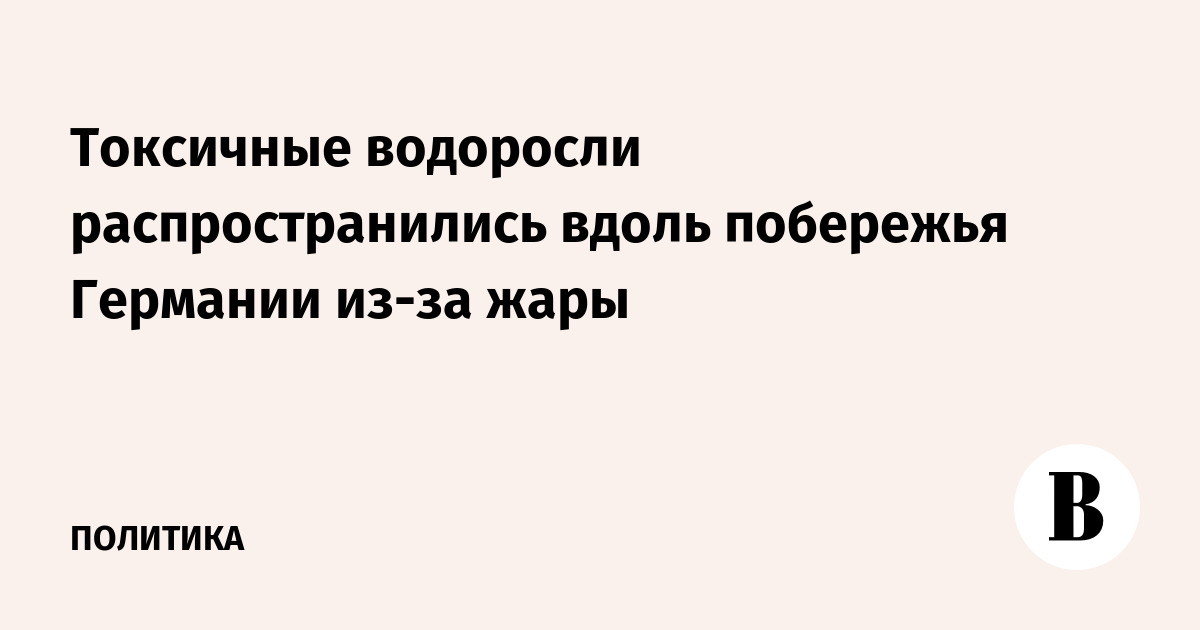 Spiegel: Побережье Балтийского моря в ФРГ покрылось токсичными водорослями