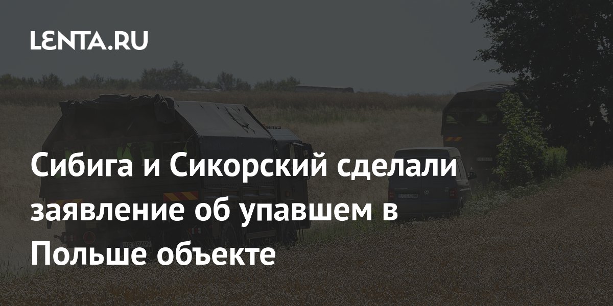 Туск выступил с заявлением об упавшем в Польше объекте