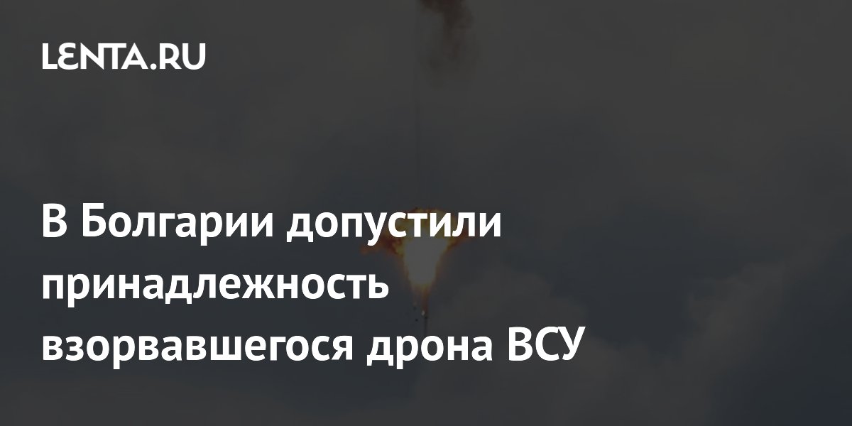 В Болгарии допустили принадлежность взорвавшегося дрона ВСУ