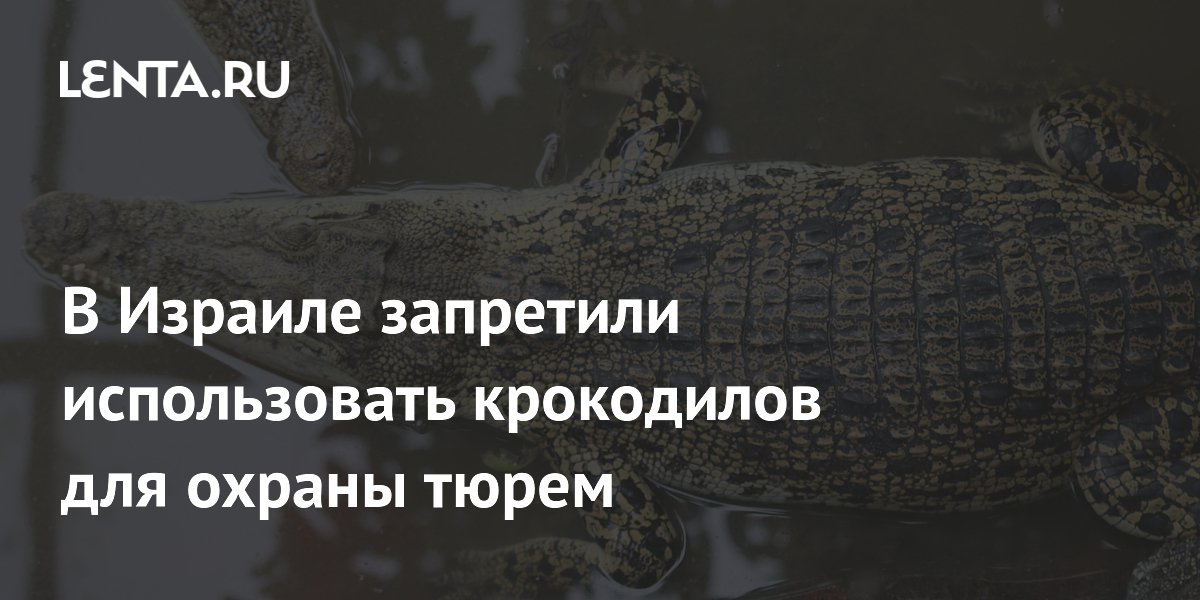 В Израиле запретили использовать крокодилов для охраны тюрем