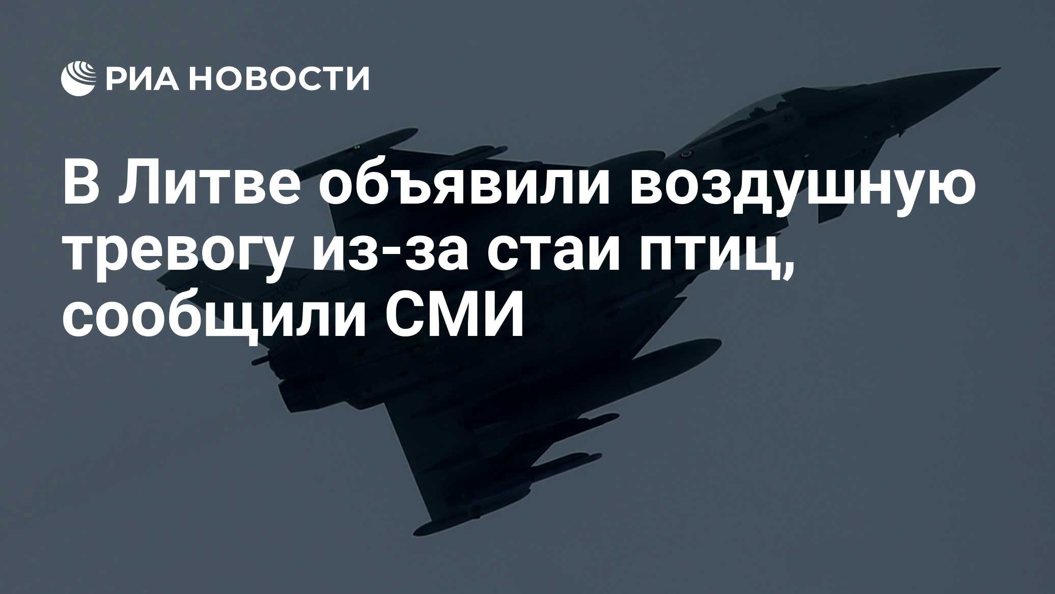 В Литве объявили воздушную тревогу из-за стаи птиц, сообщили СМИ