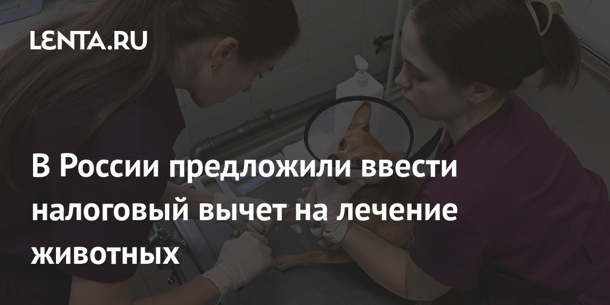 В России предложили ввести налоговый вычет на лечение животных