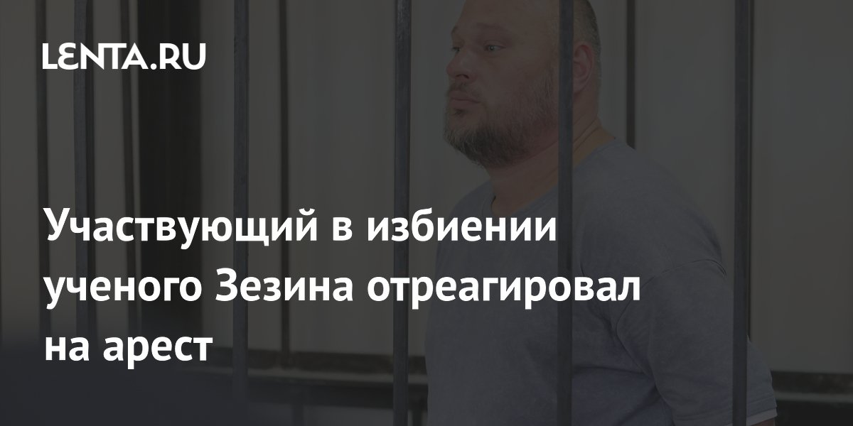 В суд поступили жалобы на арест обоих фигурантов дела об избиении ученого Зезина