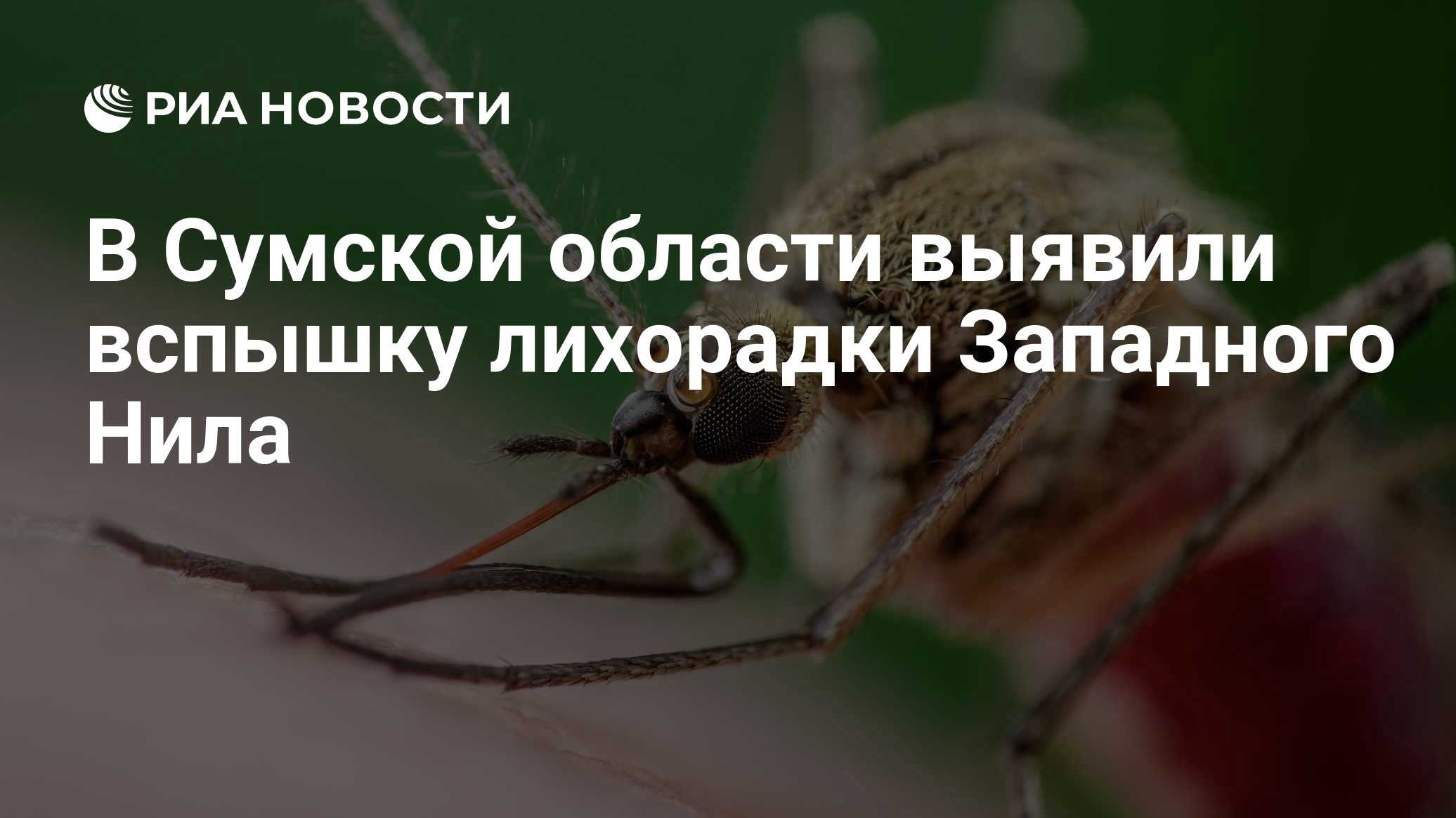 В Сумской области выявили вспышку лихорадки Западного Нила