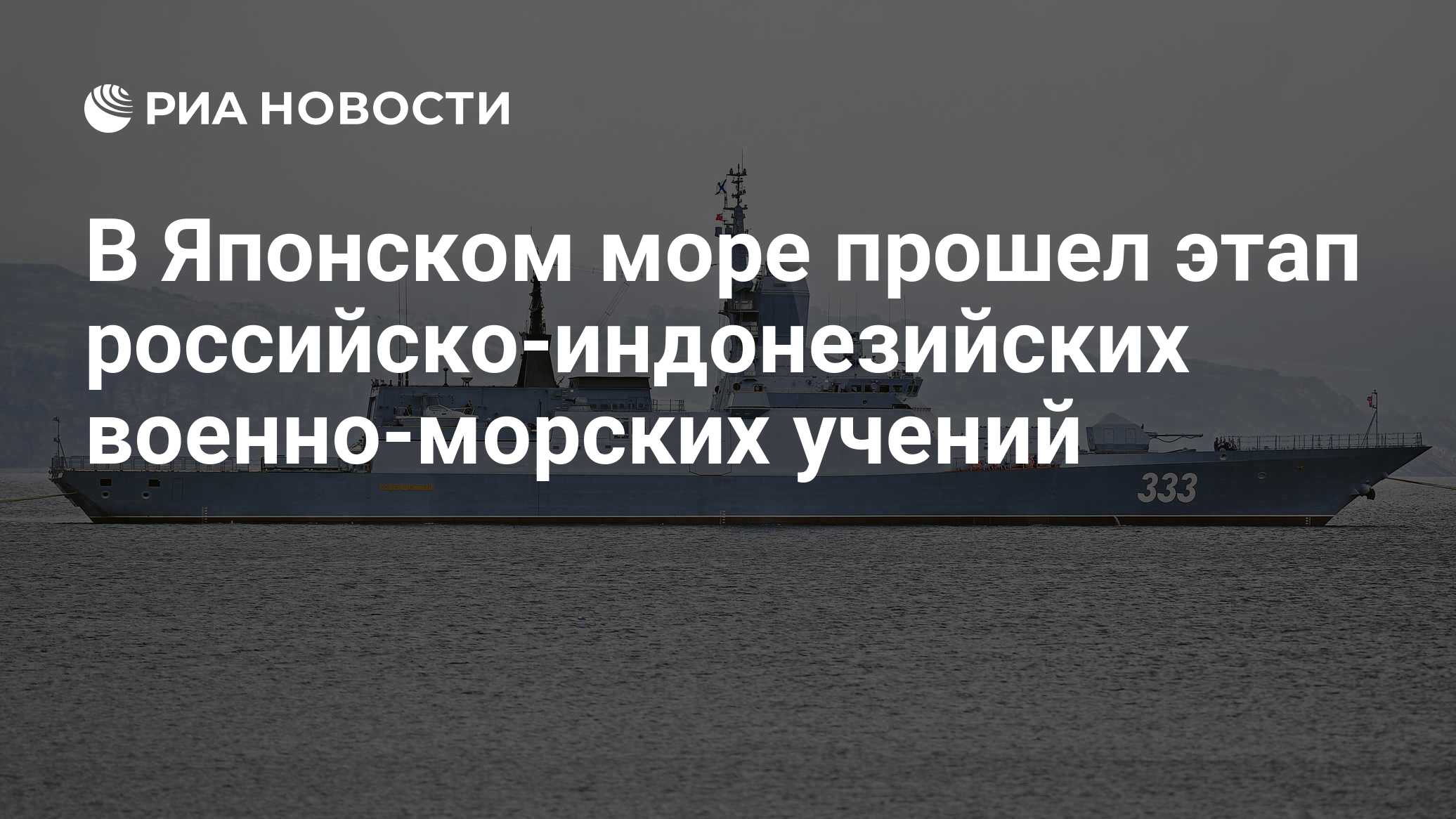 В Японском море прошел этап российско-индонезийских военно-морских учений