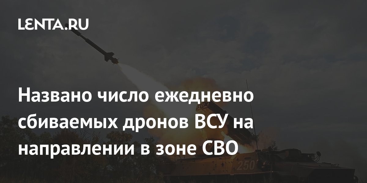 ВС России сбивают до 70 дронов ВСУ в сутки на Днепропетровском направлении