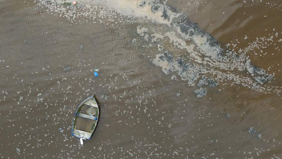 Все водоемы Англии оказались загрязнены токсичными химикатами