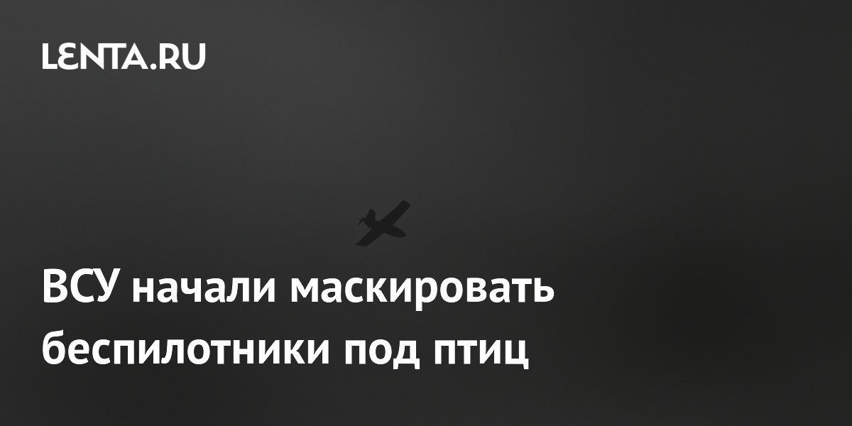 ВСУ начали маскировать беспилотники под птиц