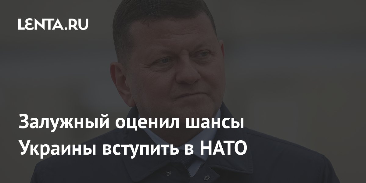 Залужный заявил, что Украина никогда не вступит в НАТО