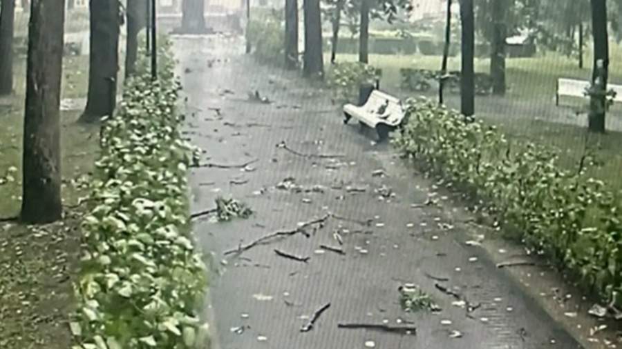 Женщина и ребенок погибли из-за непогоды в Смоленске
